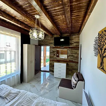 Art Ii Villa Dospat